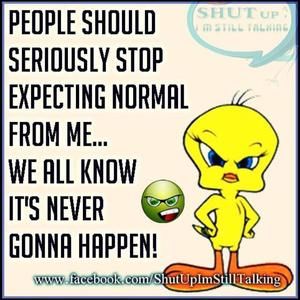 Meet your Posher, Paul